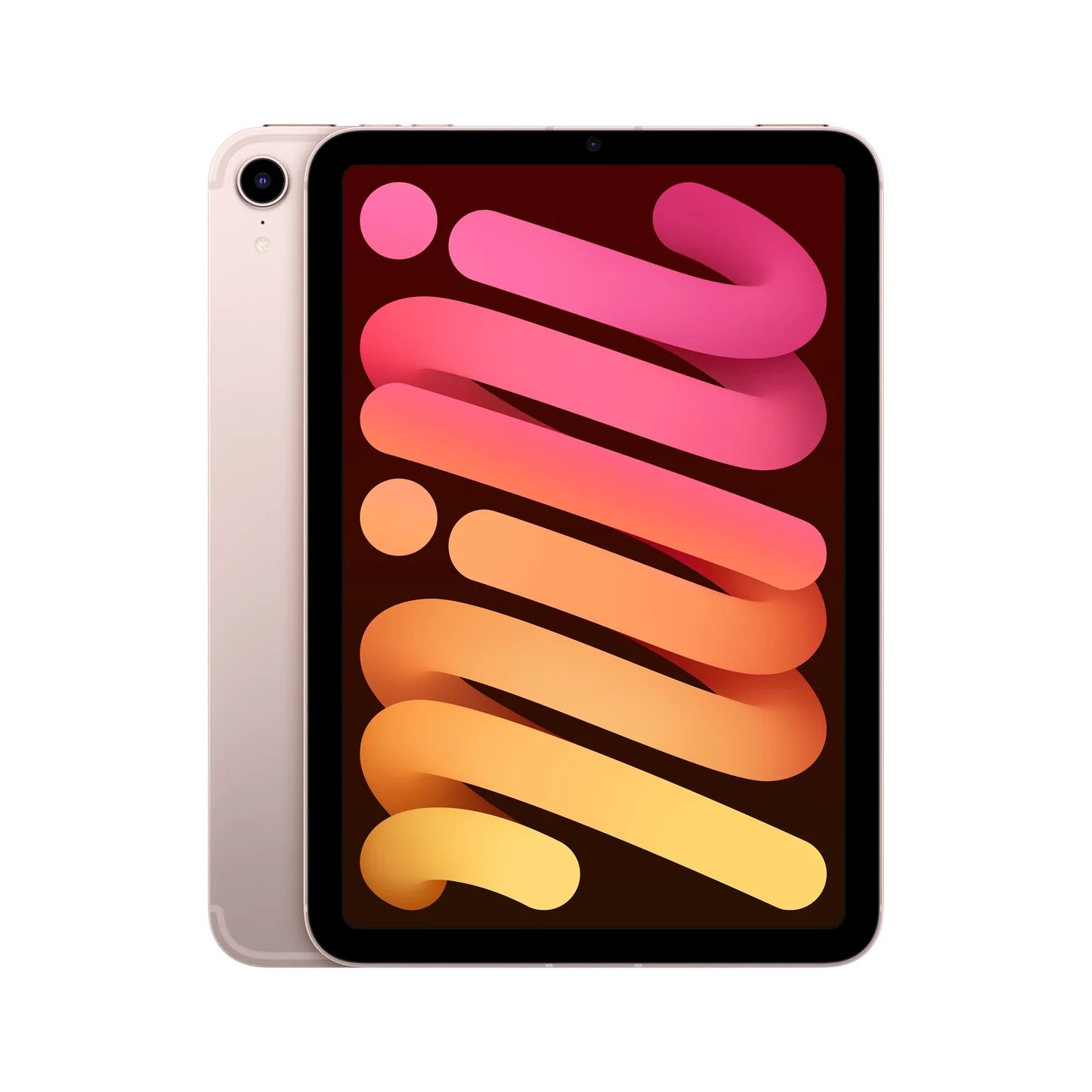 iPad mini