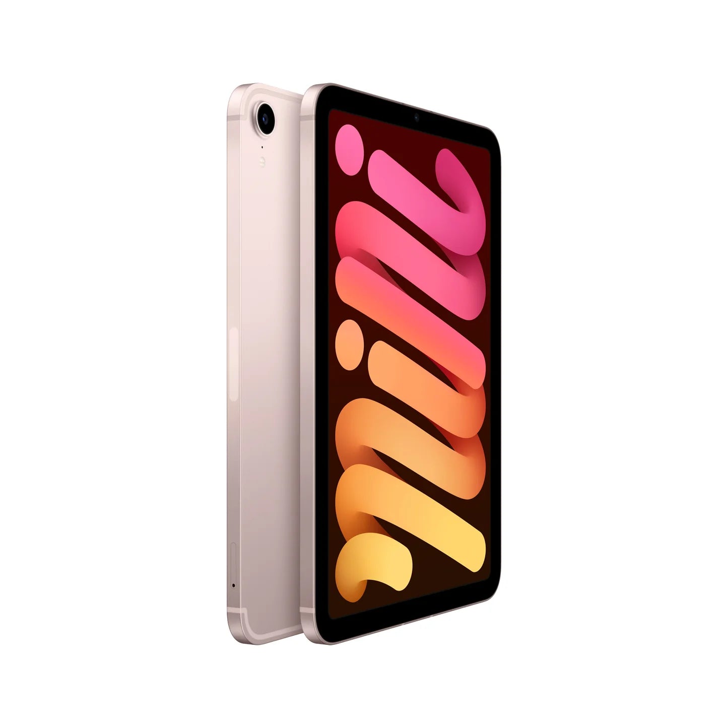 iPad mini