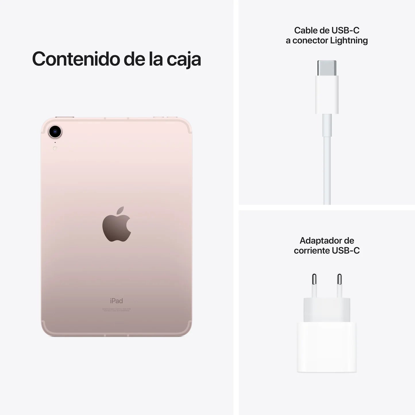iPad mini