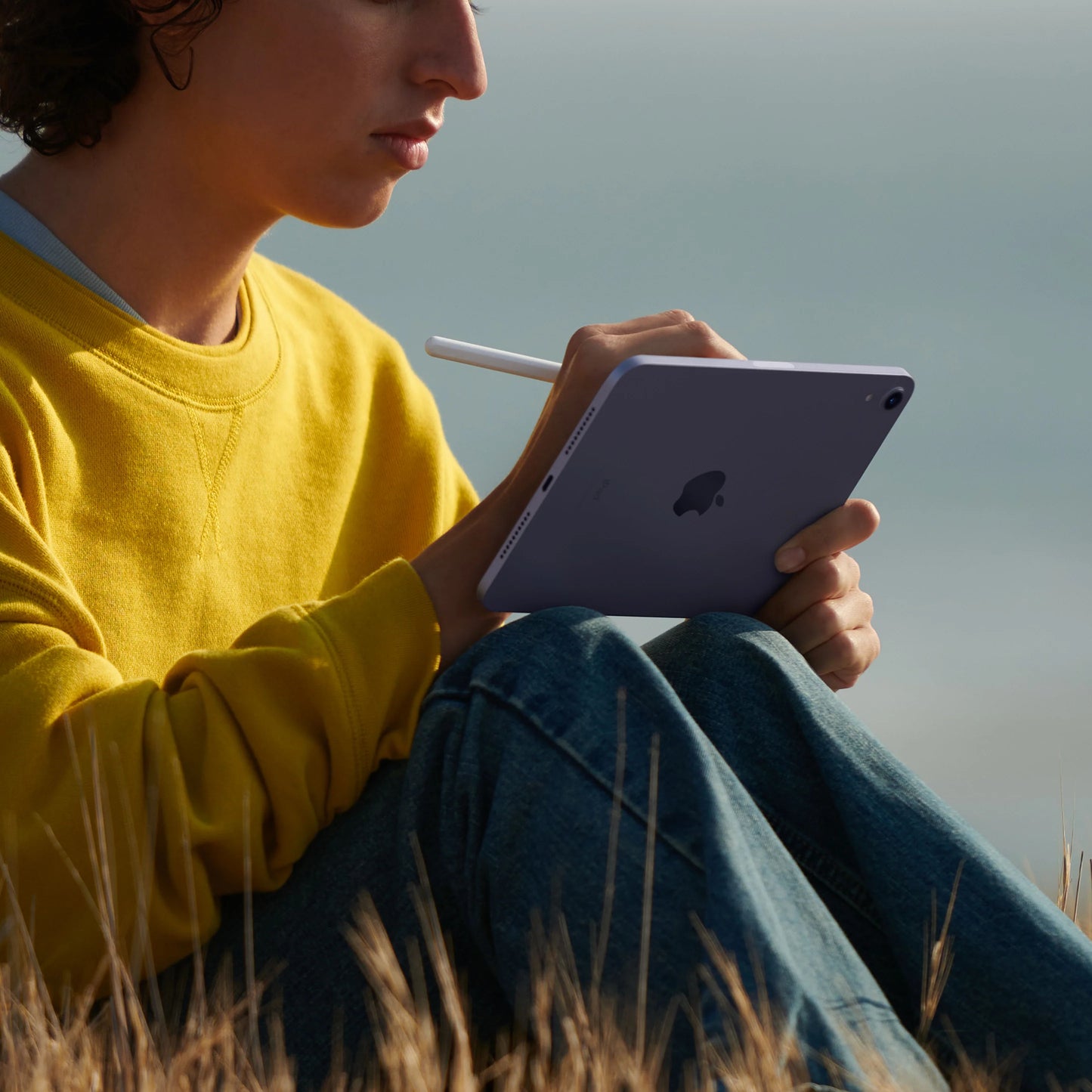 iPad mini